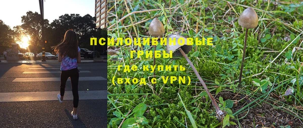 ALPHA PVP Новодвинск