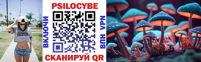 Галлюциногенные грибы Psilocybine cubensis  Нягань 