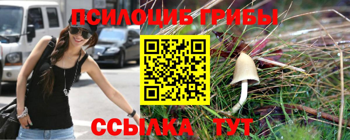 Нягань  Псилоцибиновые грибы мицелий  Псилоцибиновые грибы мицелий  Вход с VPN 