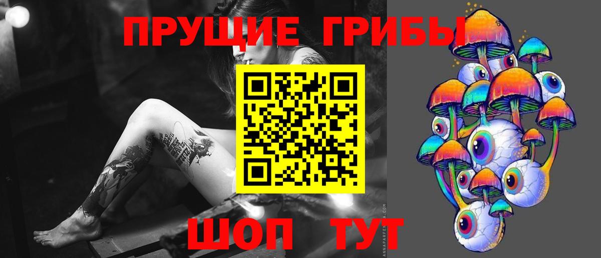 Псилоцибиновые грибы мицелий Нягань